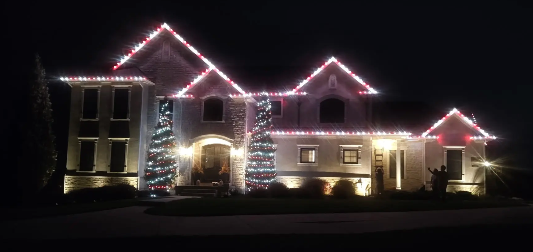 Mini-LED Christmas lights wrapped around a front yard tree