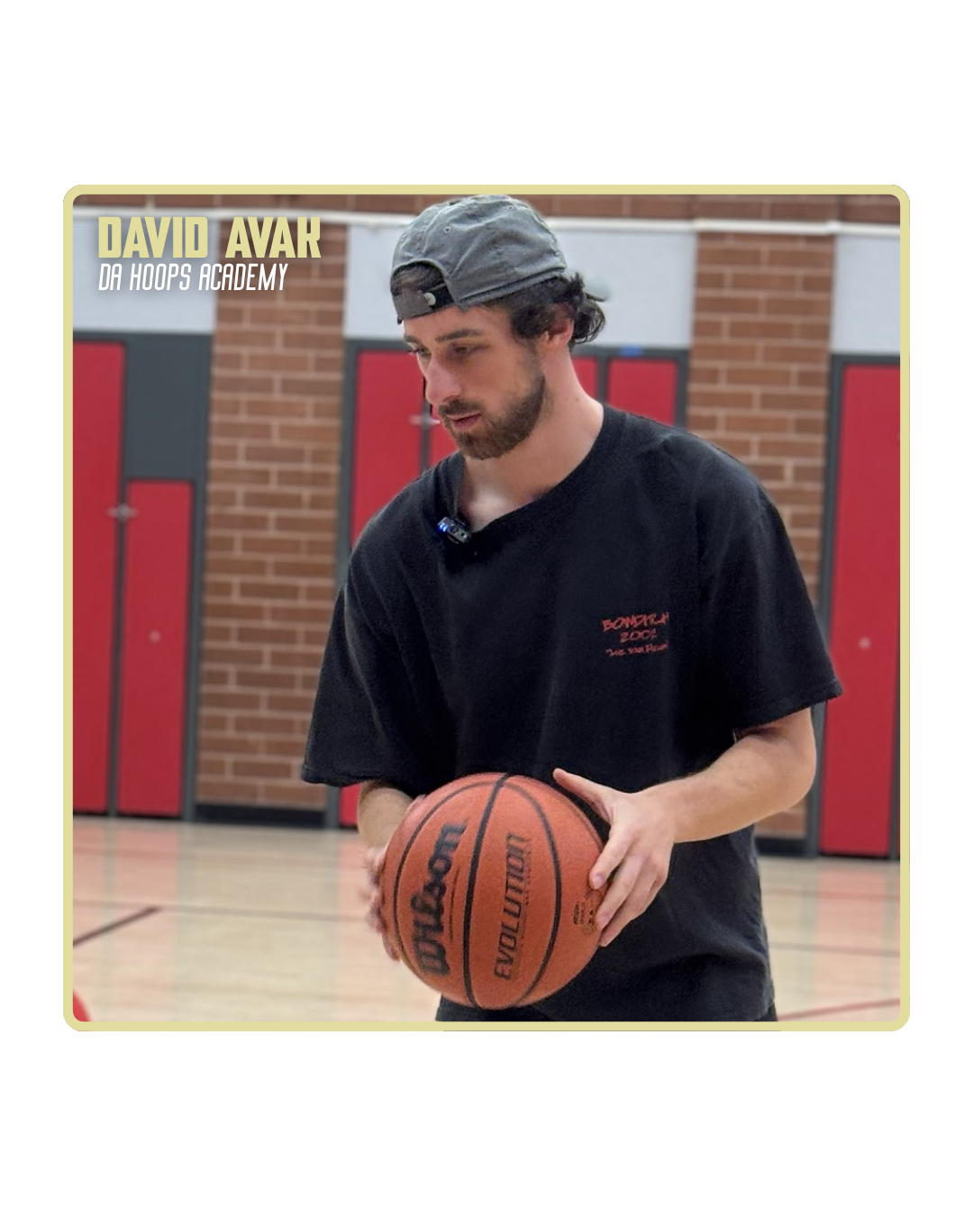 David Avak