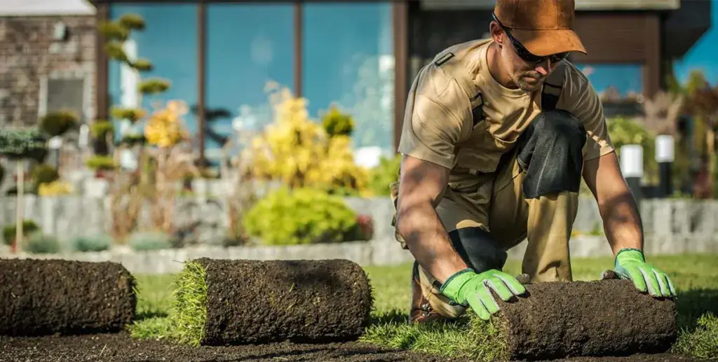 Professional lawn mowing and maintenance by CE Lawn Care in Atlanta