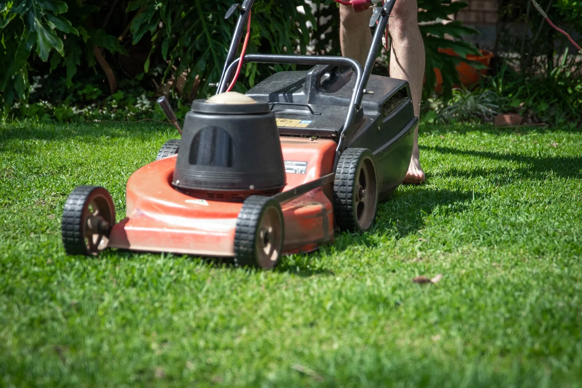 Professional lawn mowing service in Atlanta, GA