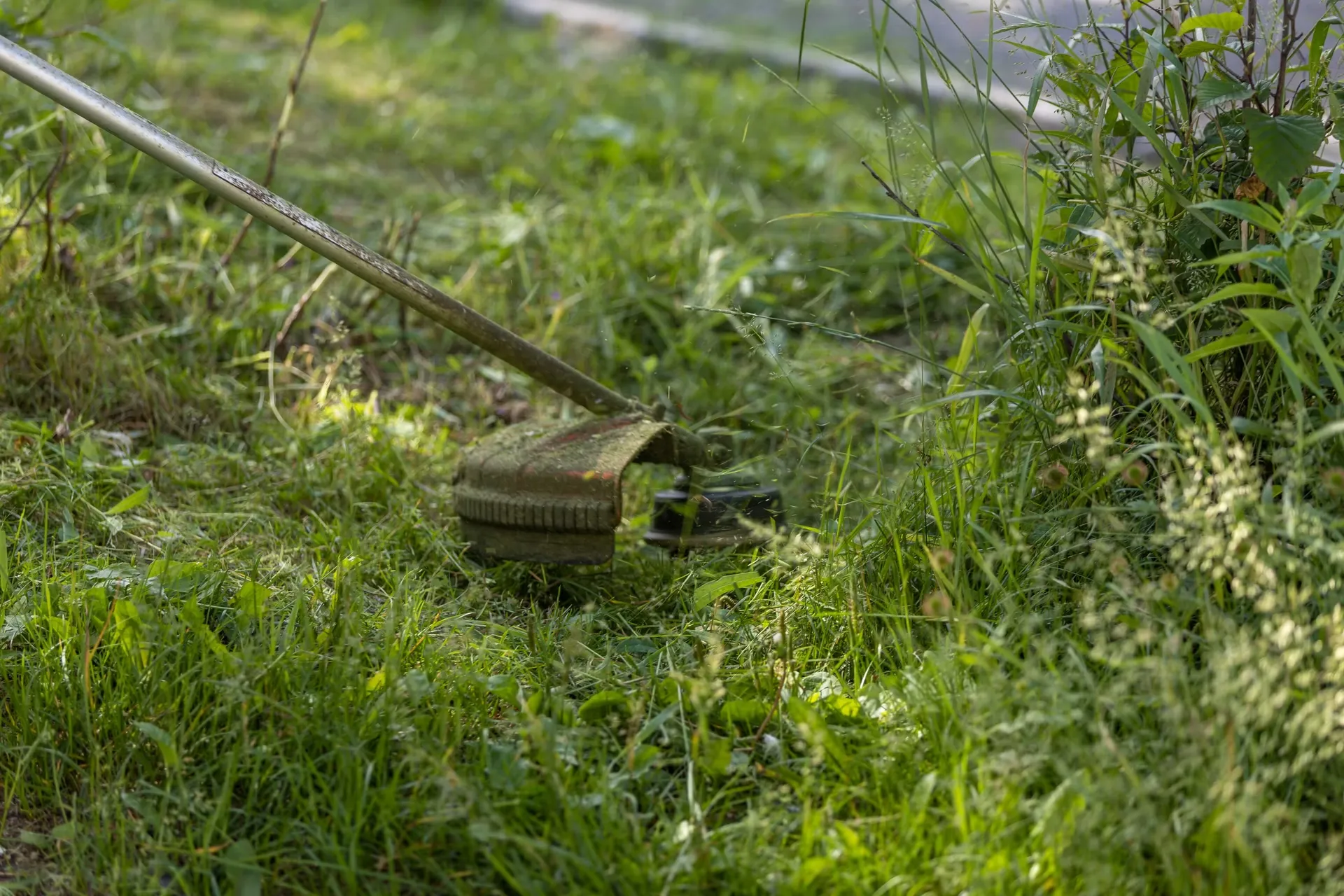 Professional lawn maintenance service in Atlanta, GA