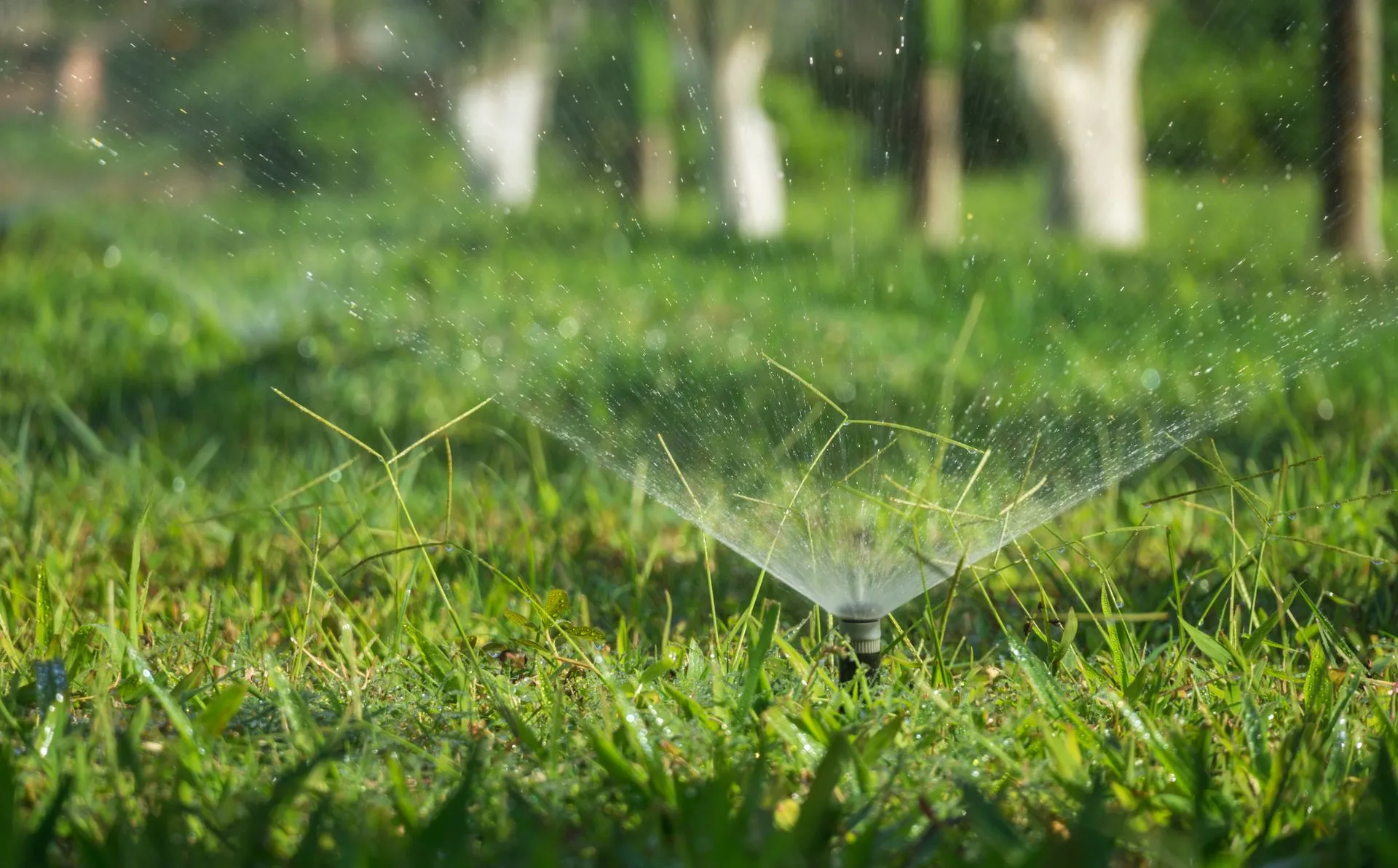 Professional irrigation system installation in Atlanta, GA