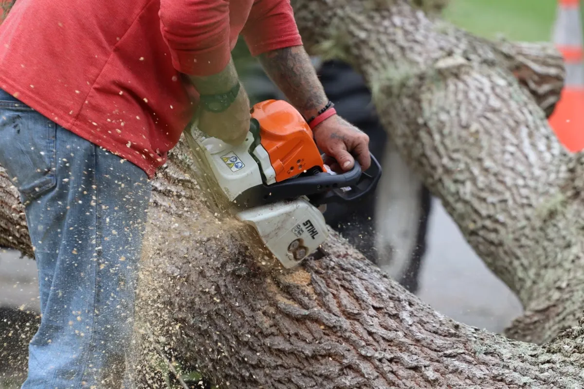 Professional tree removal service in Atlanta, GA by Mr. Grapple