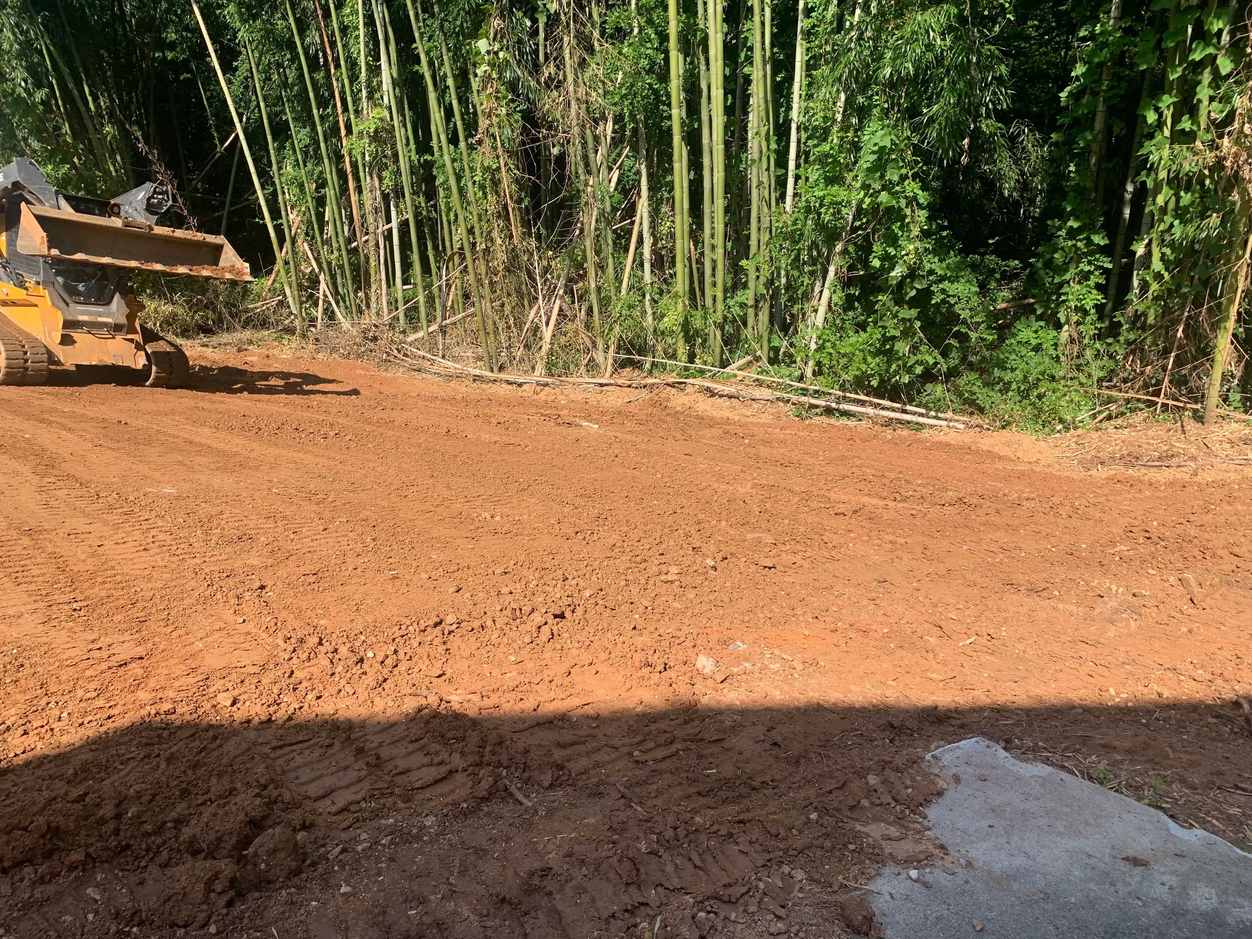 Yard before CE Lawn Care treatment