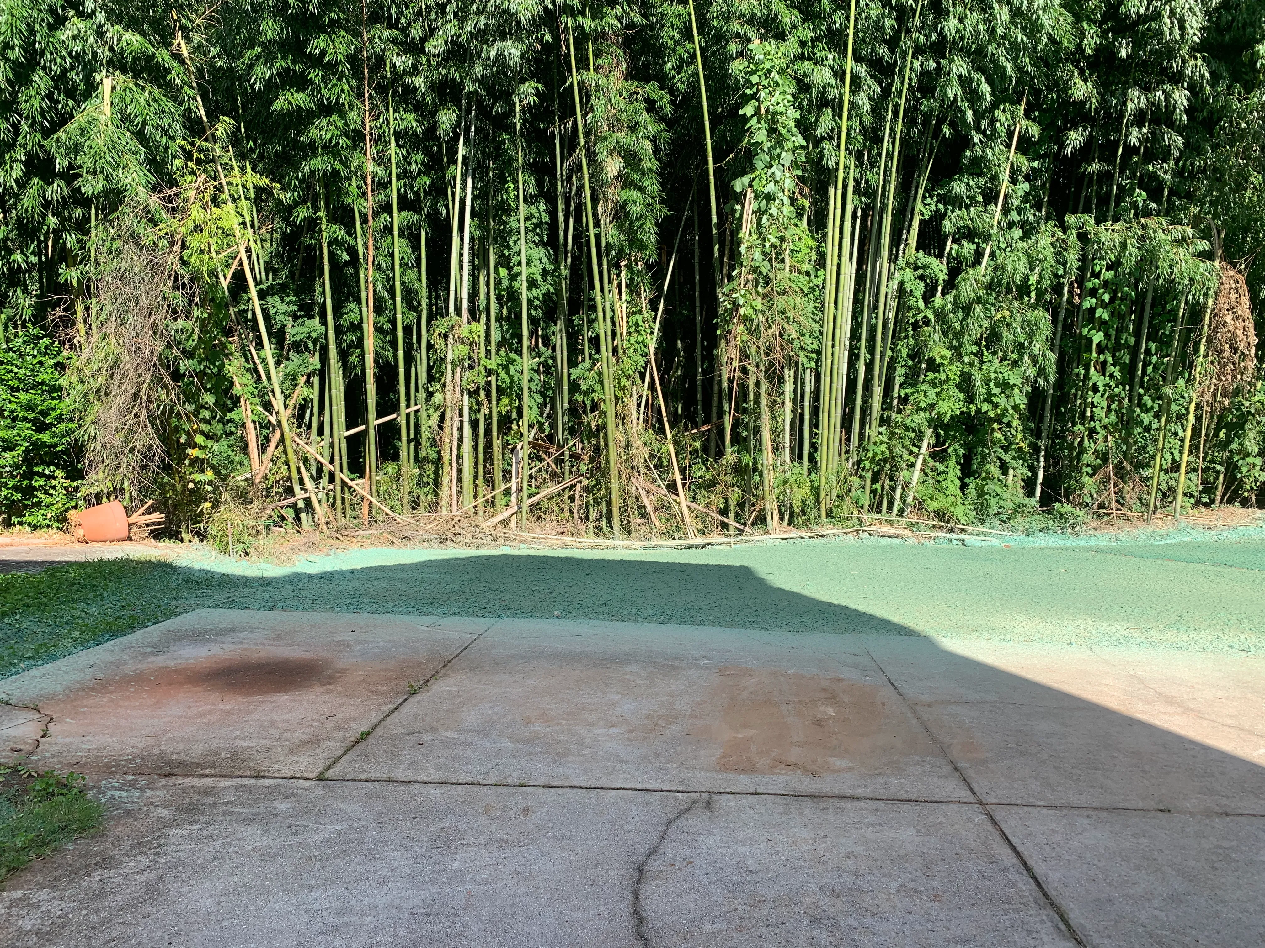 Lawn after CE Lawn Care service