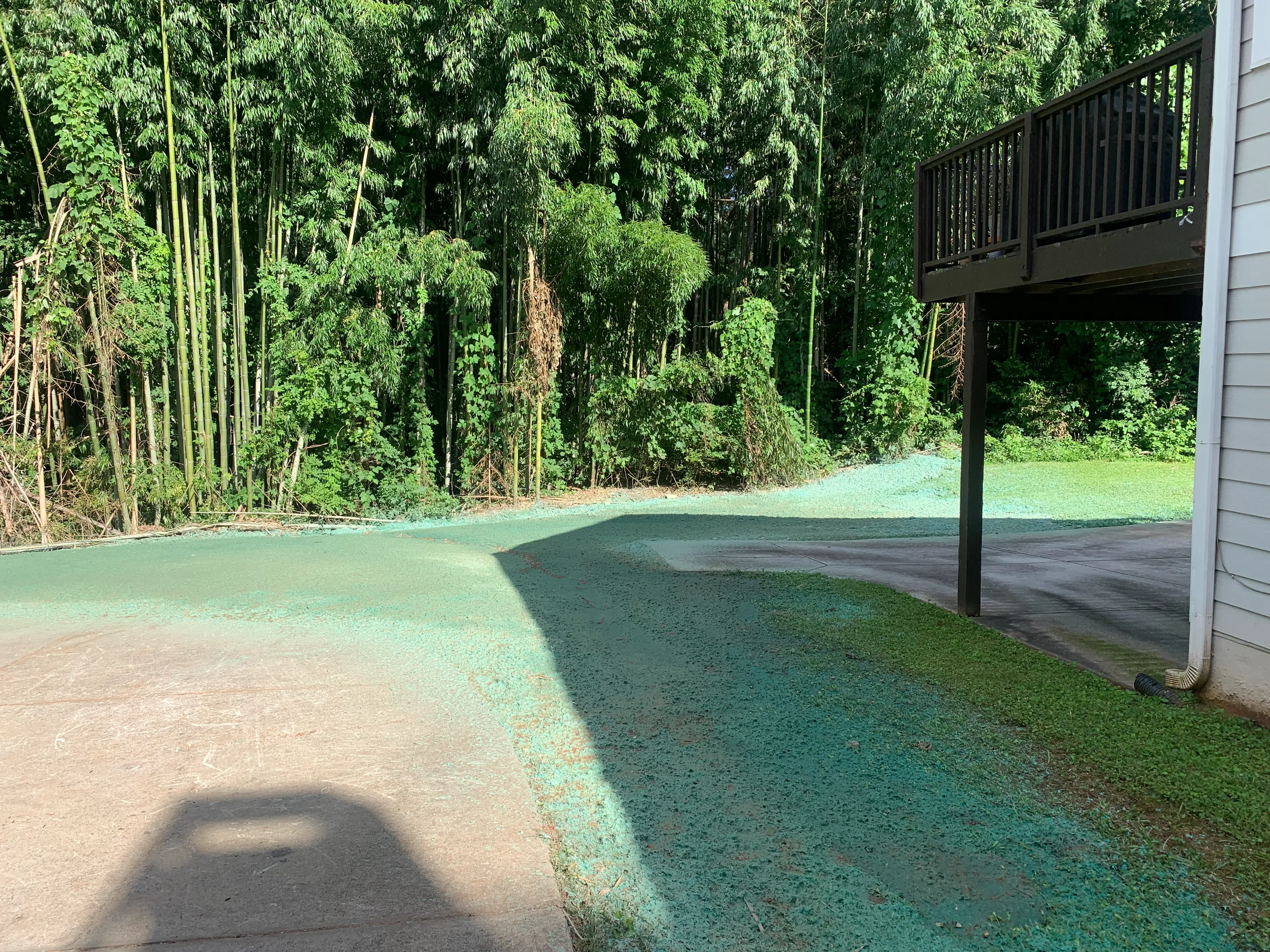 Property after CE Lawn Care treatment