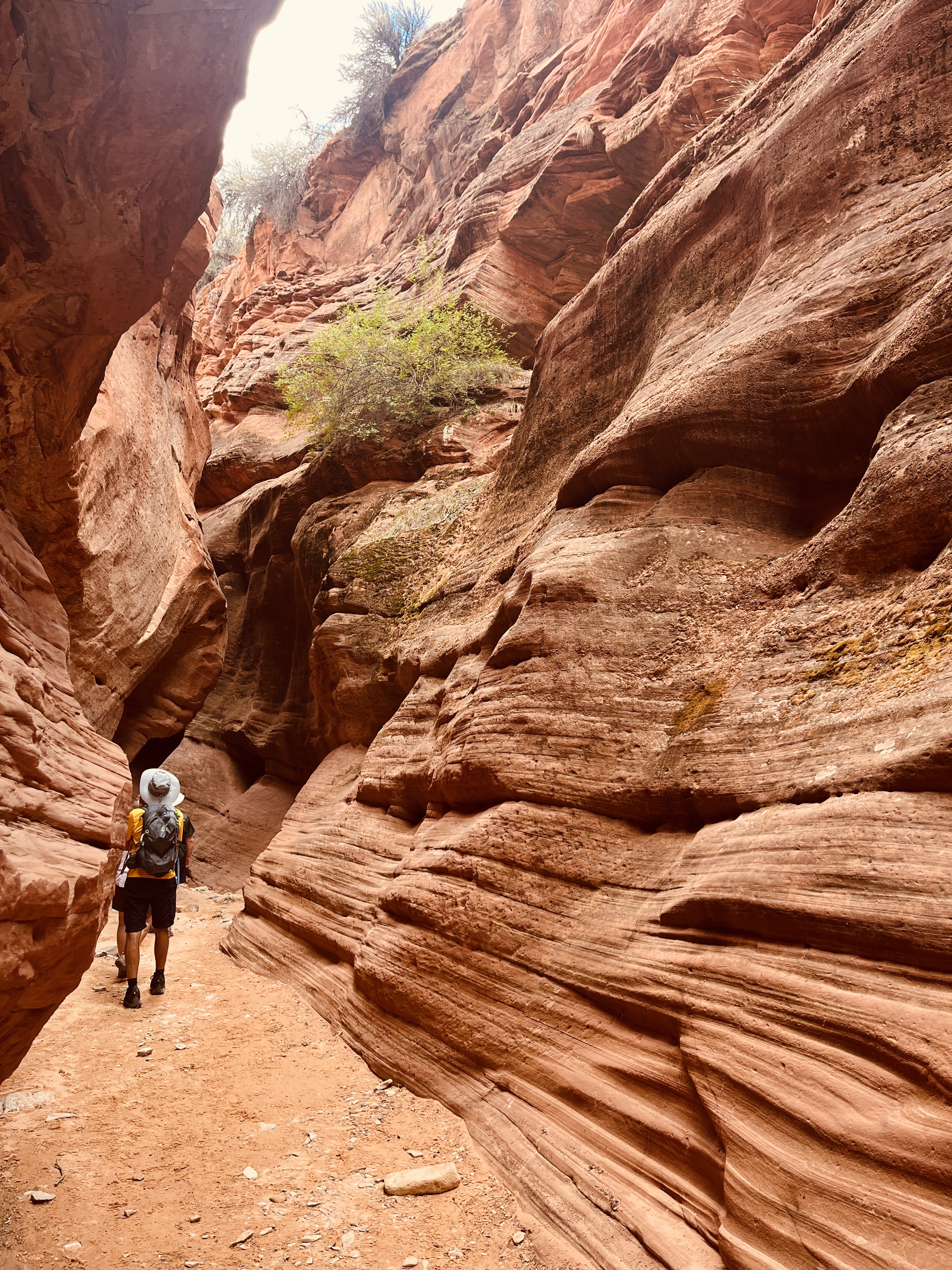 Hiker wearing a sun hat walking through a narrow red sandstone slot canyon. Hiker wearing a sun hat walking through a narrow red sandstone slot canyon.