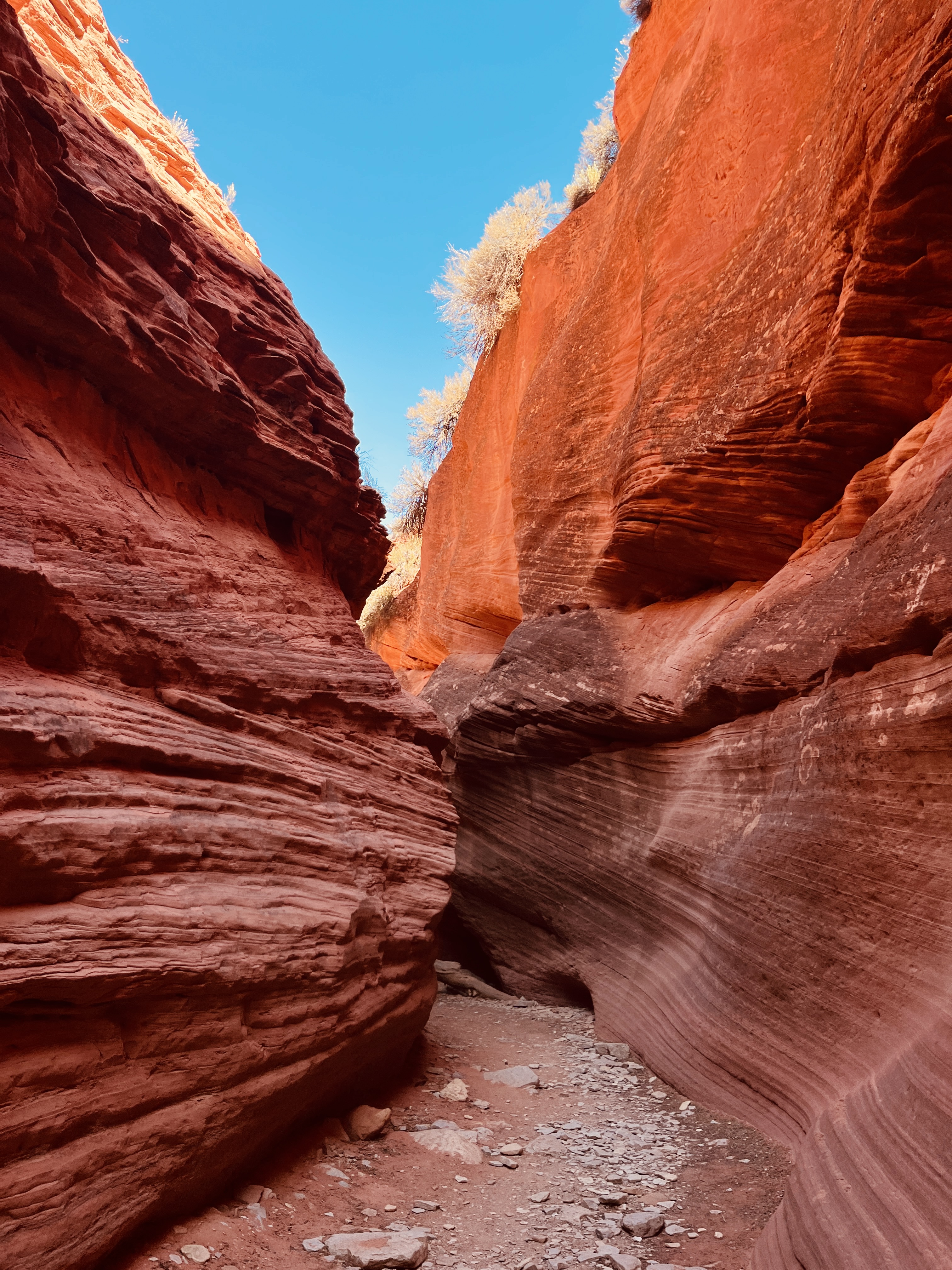 Tall red sandstone slot canyon walls leading toward a bright blue sky. Tall red sandstone slot canyon walls leading toward a bright blue sky.