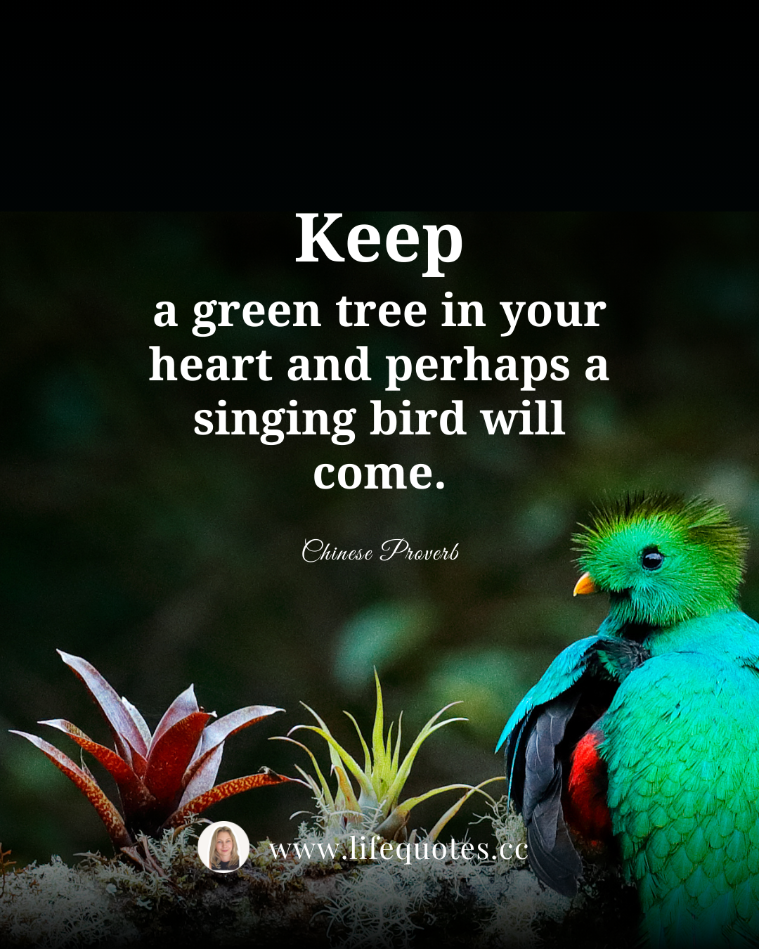 Keep positive attitude o matter what happens