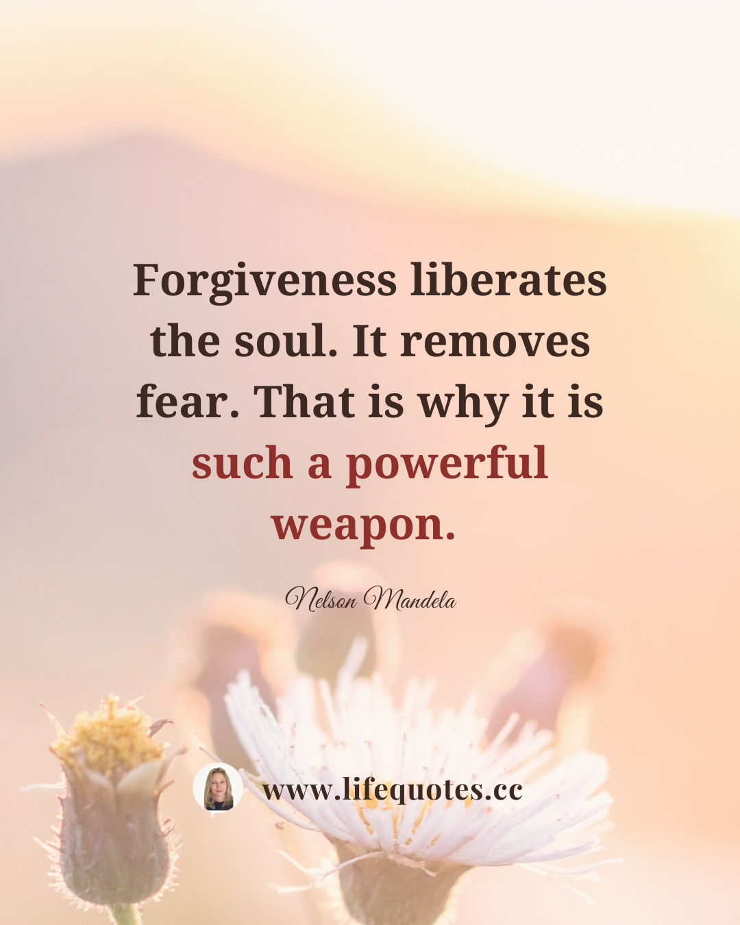 You are loved and you are safe