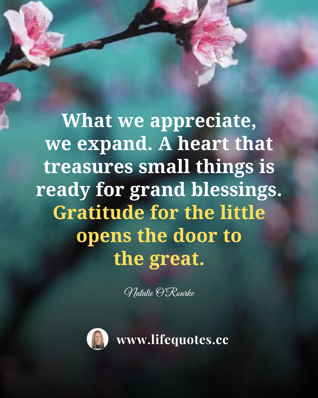Attitude of gratitude