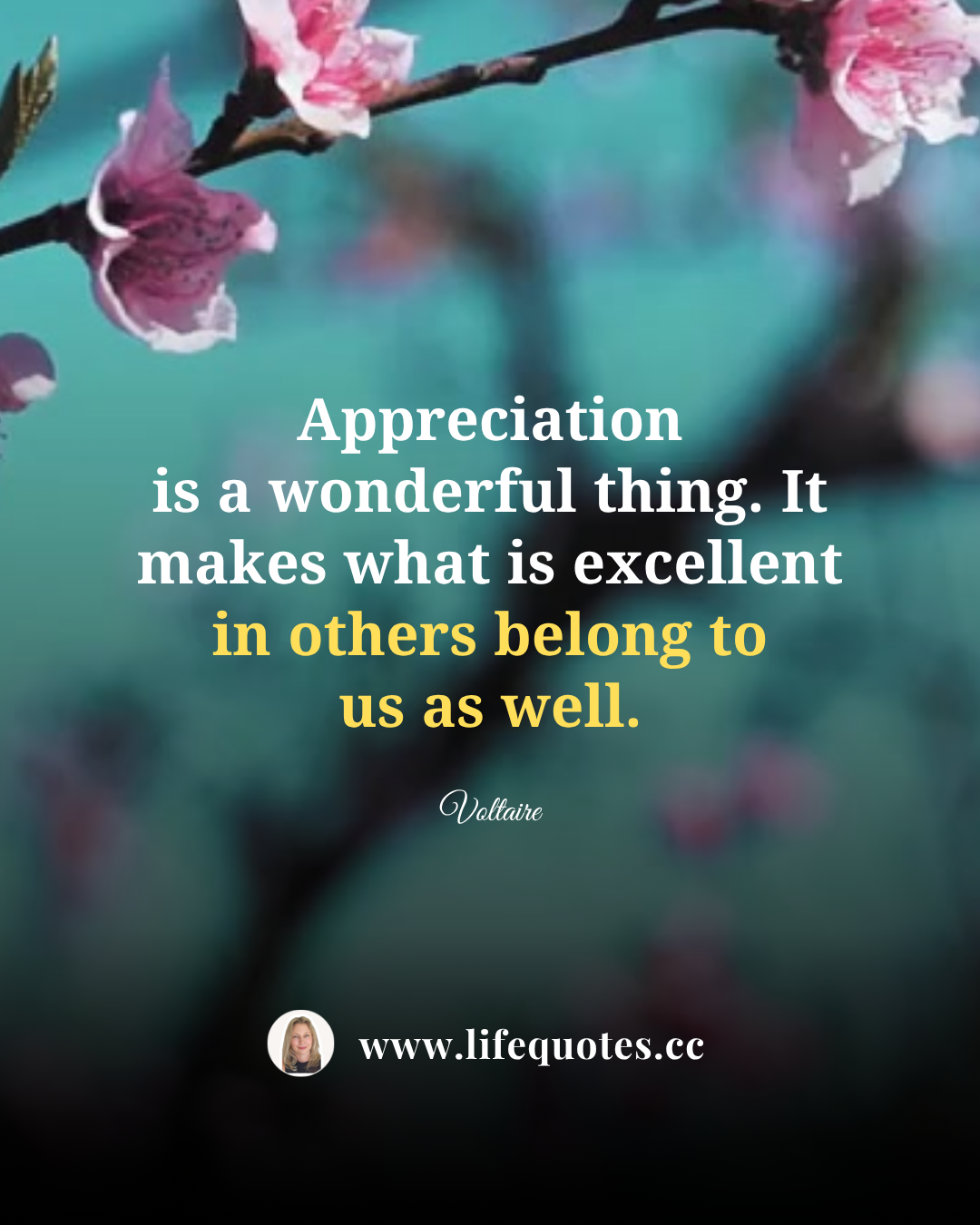 attitude of gratitude in action