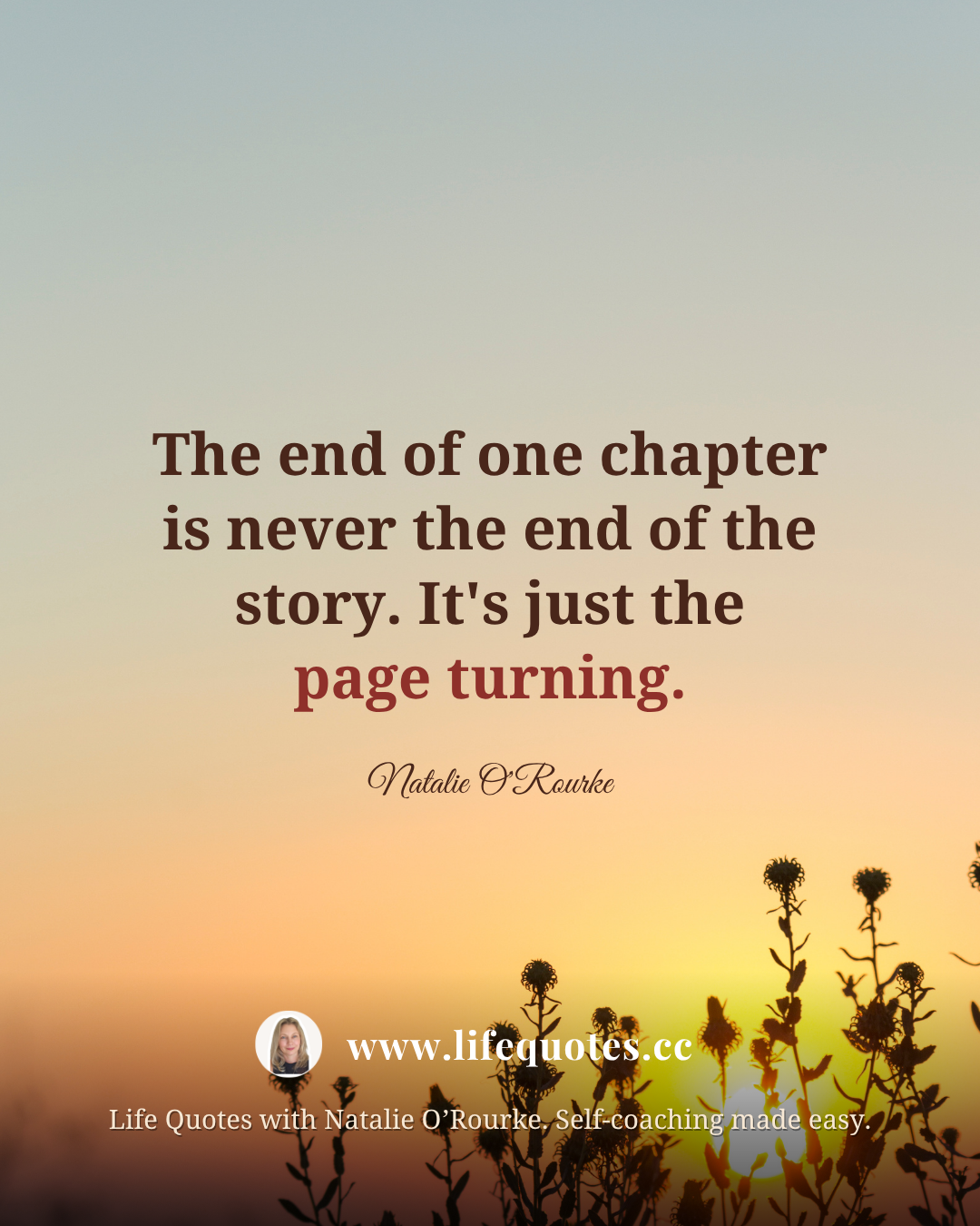 new beginnings are an opportunity