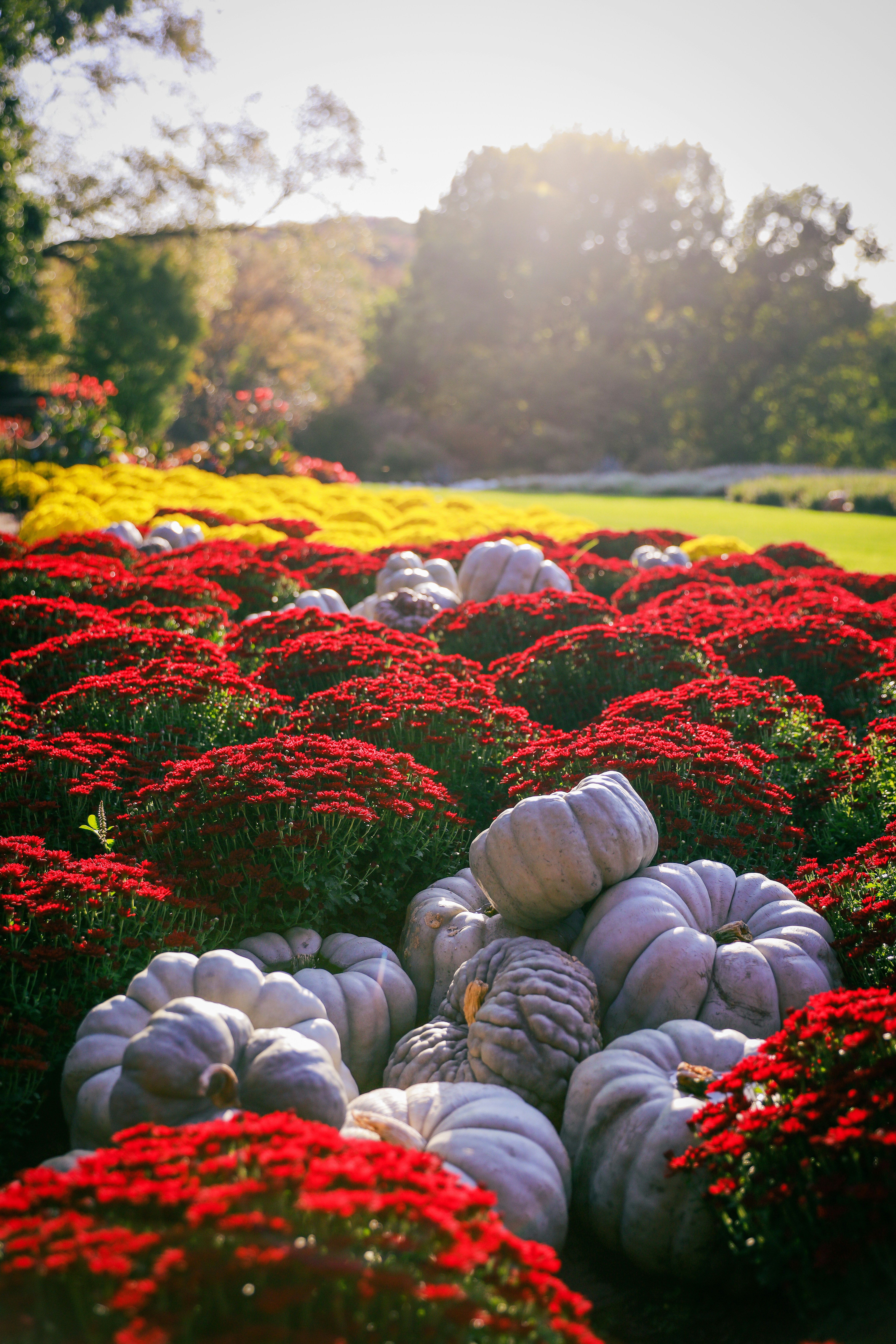 Fall display Fall display