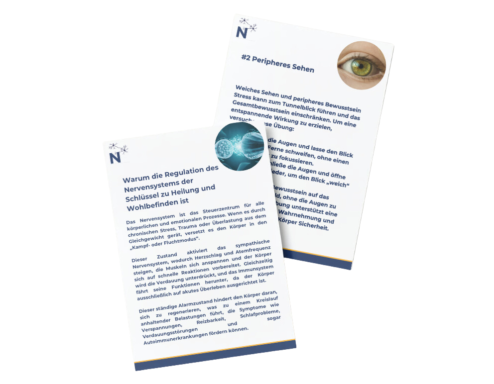 Sieben Übungen zur Nervensystemregulation