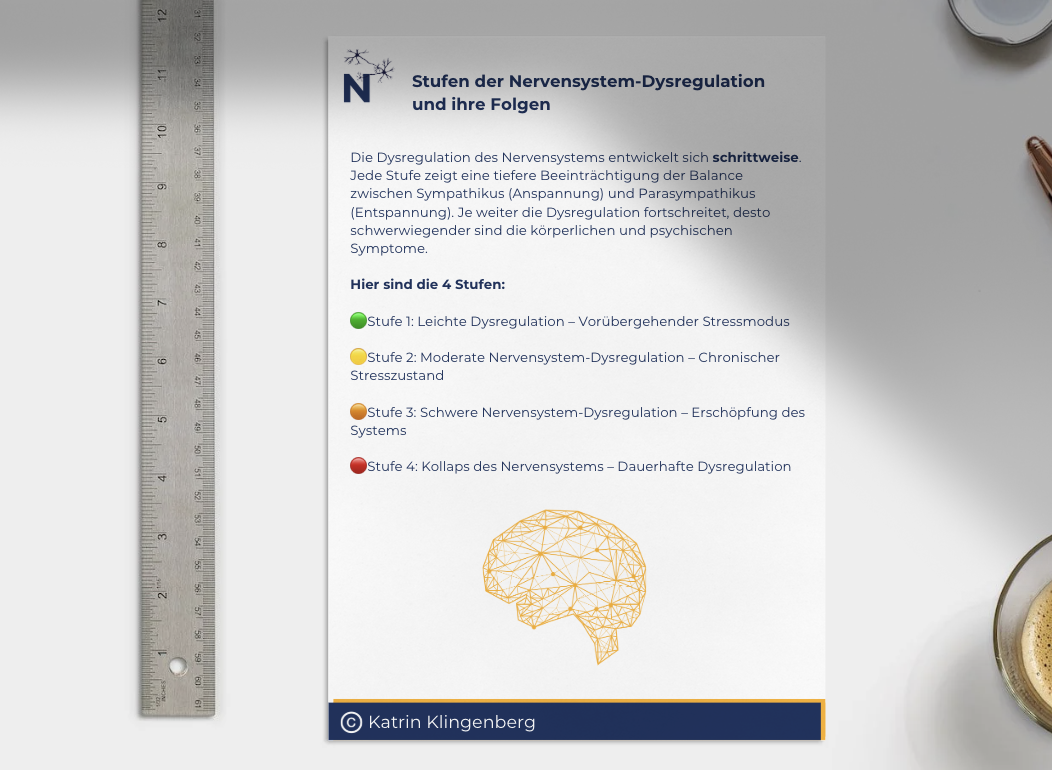 Stufen der Nervensystem-Dysregulation — Mini-Ebook