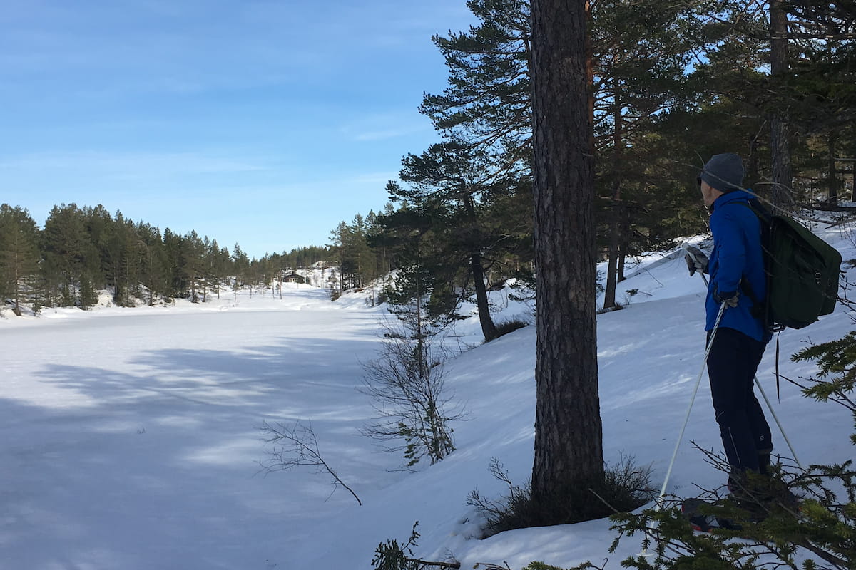 Snøkledd landskap med en skiløper som hviler på stavene Snøkledd landskap med en skiløper som hviler på stavene