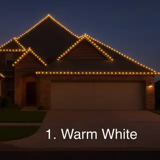 Warm White