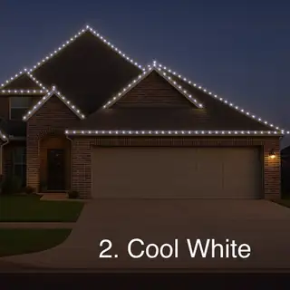 Cool White