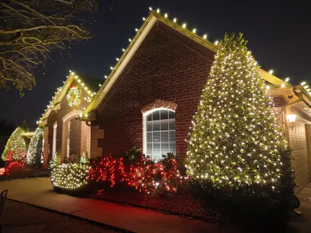 Tree and bushes lit with Christmas lights