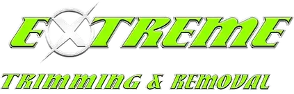 Extreme Tree Service, LLC work site