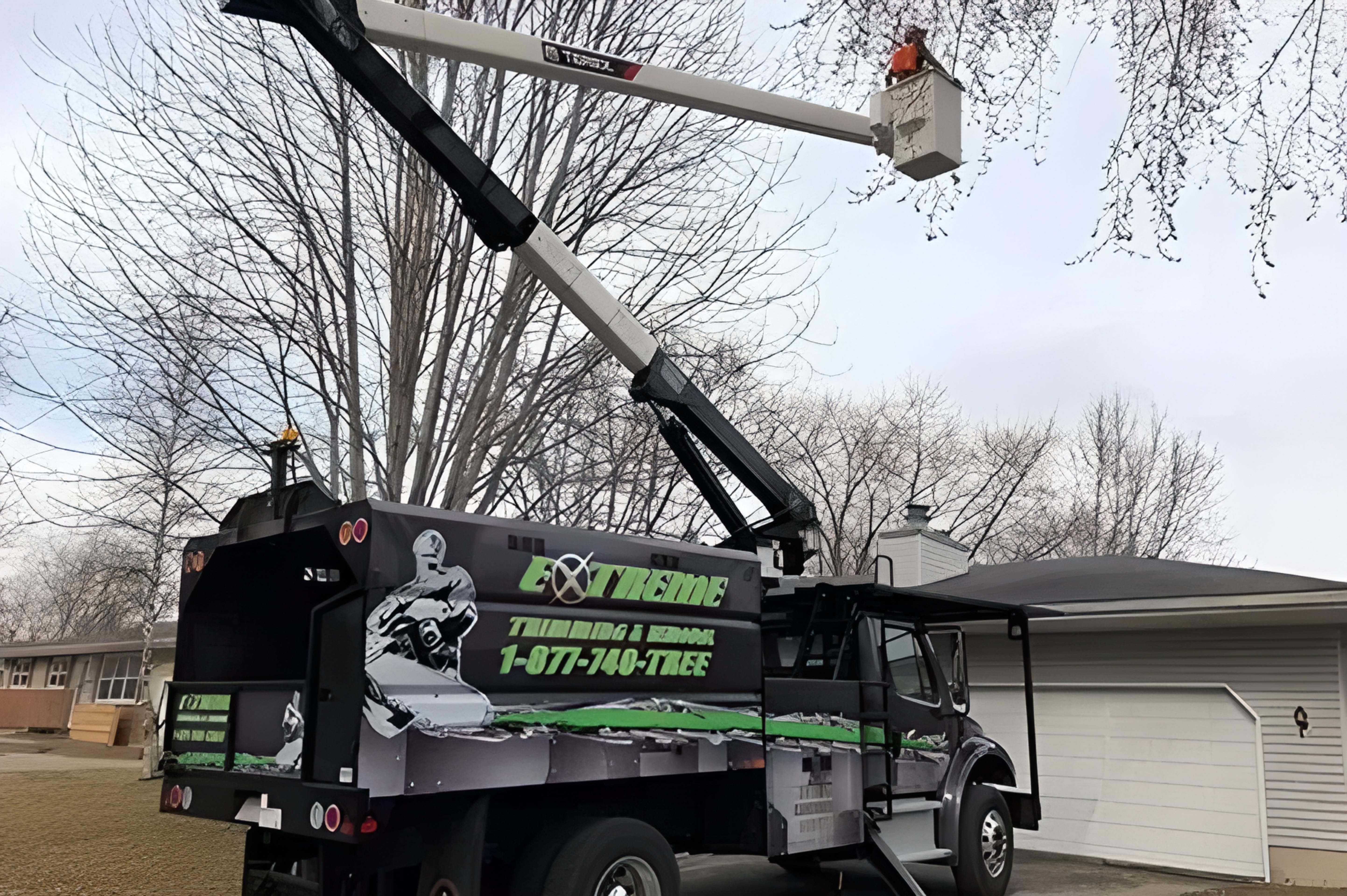 Crane-assisted tree removal in Madison, WI