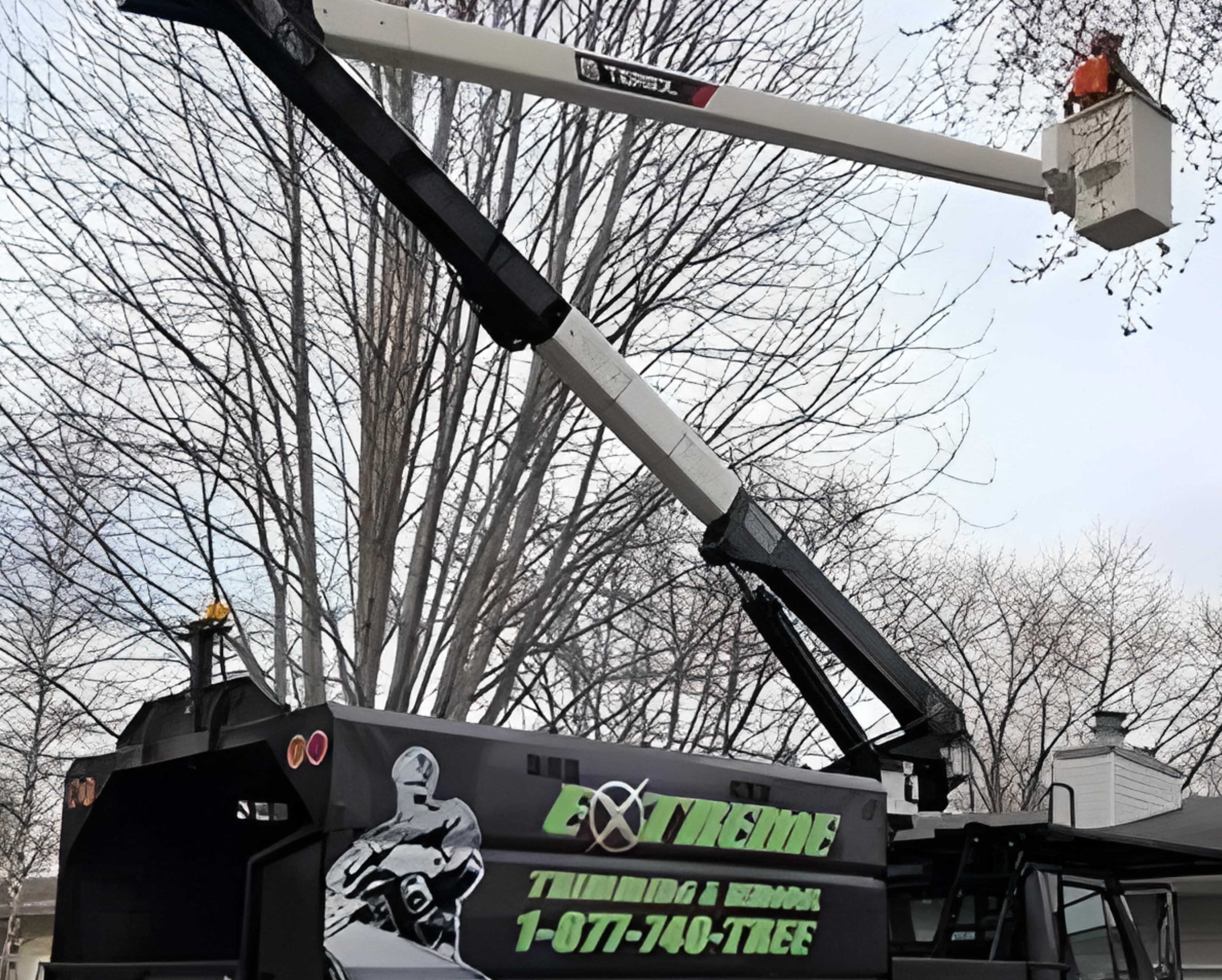 Extreme Tree Service crew maintaining trees at upscale Middleton retail center