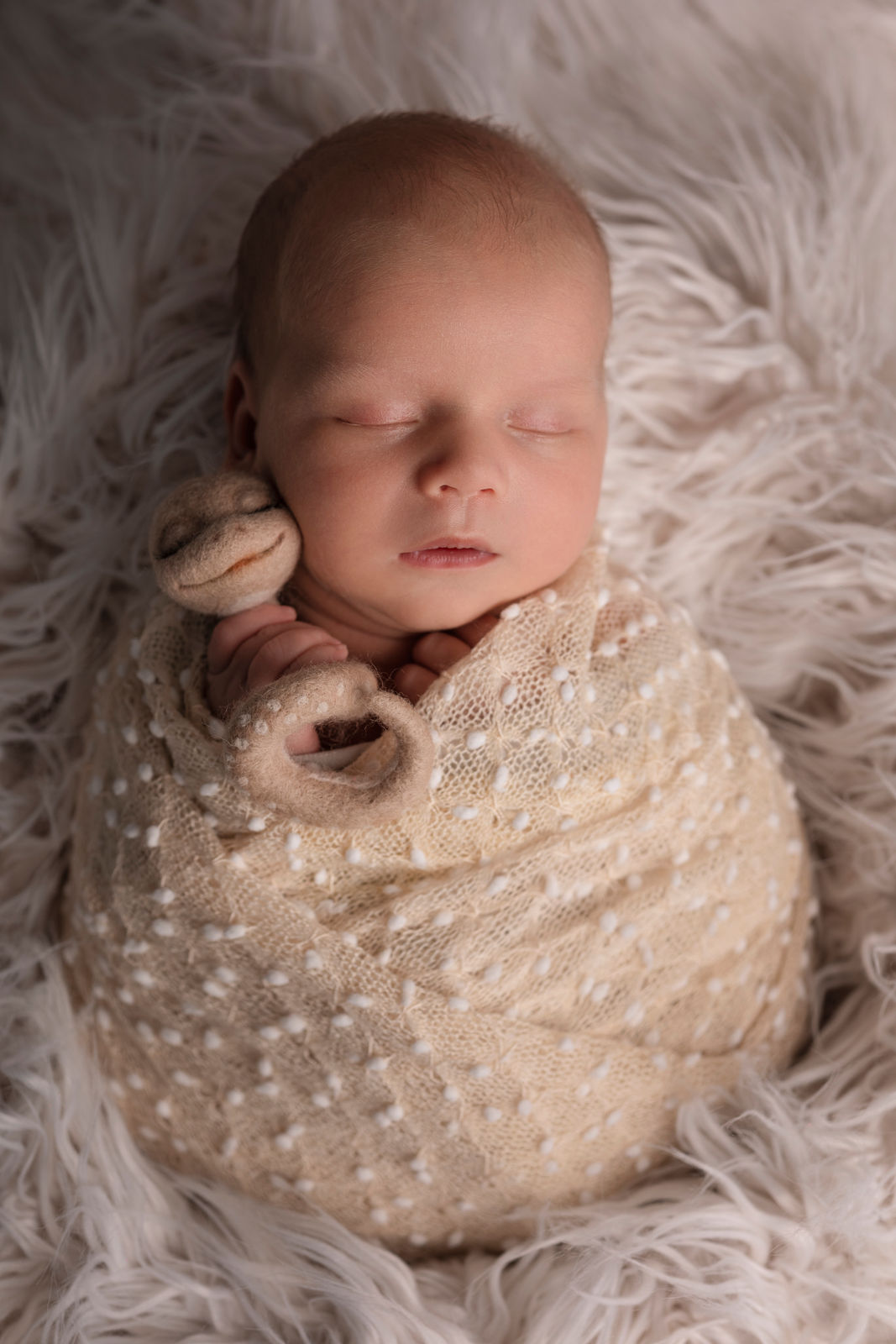 Newborn-Fotografie