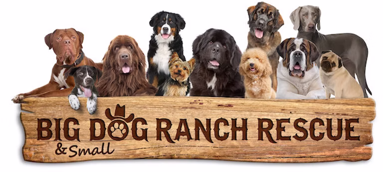 Big Dog Ranch Rescue