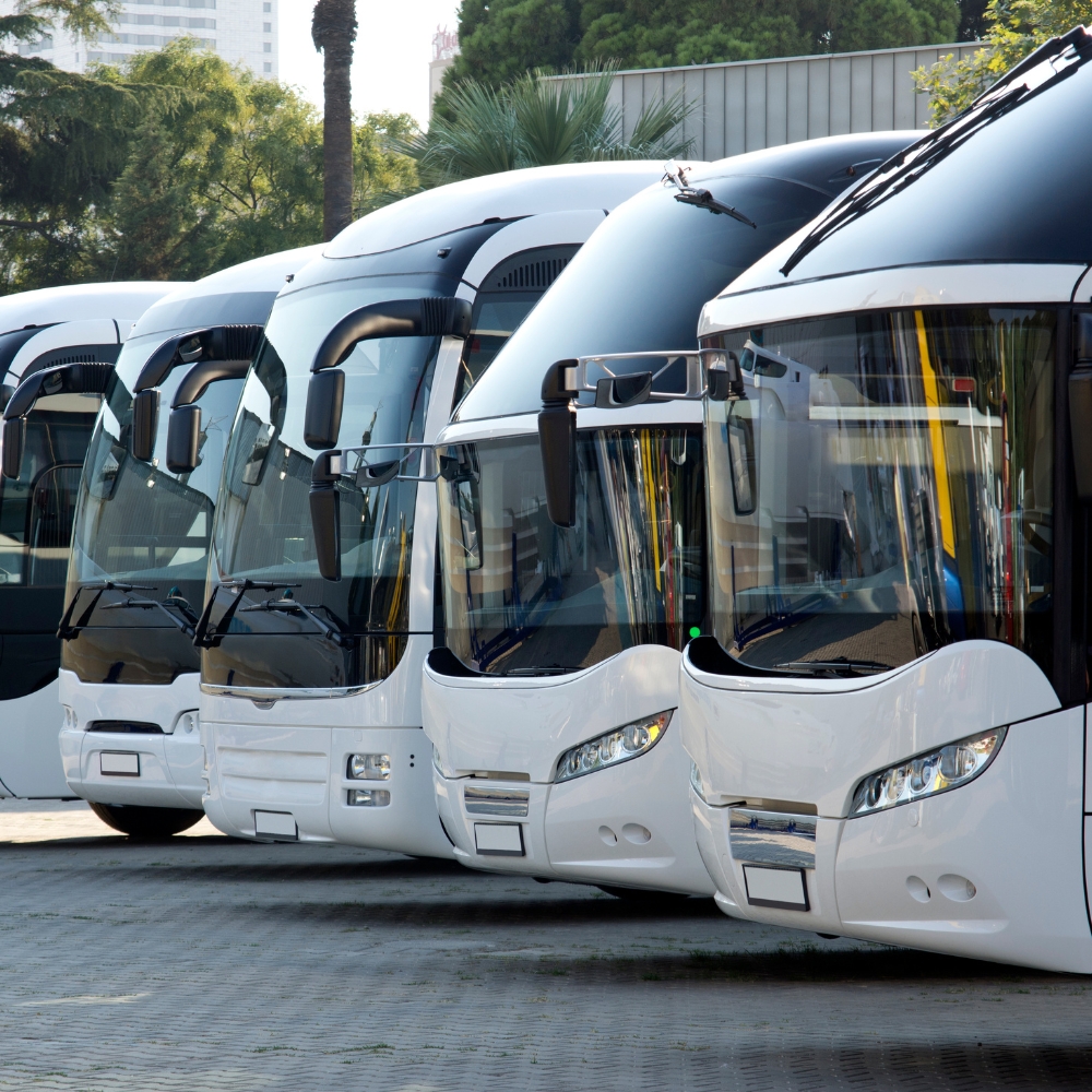 Group bus transportation service