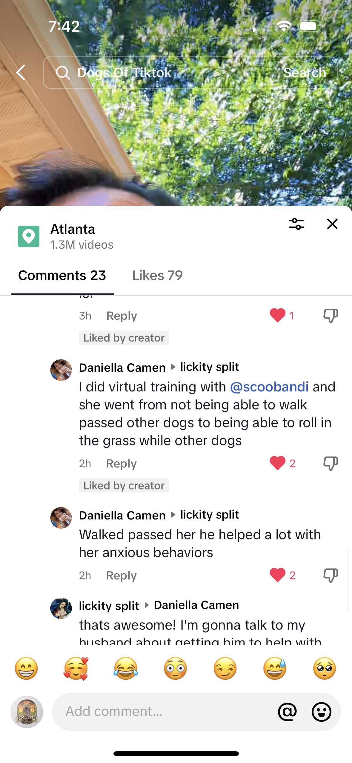 TikTok comment from Daniella Camen saying virtual training helped anxious behaviors and helped her dog relax around passing dogs