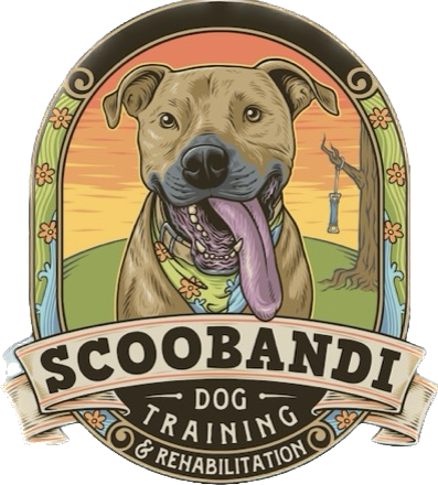 Scoob & I Dog Training