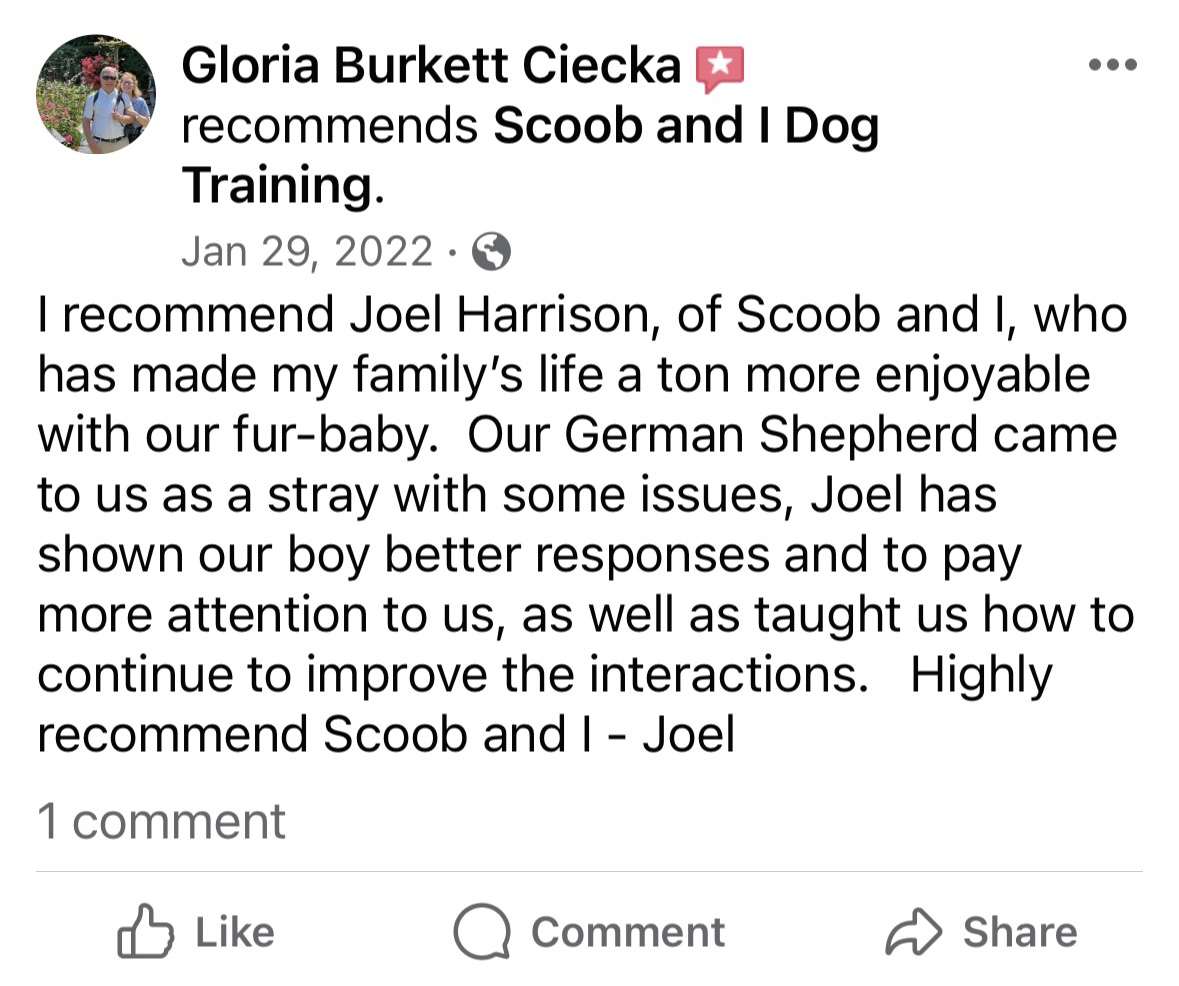 Real training result