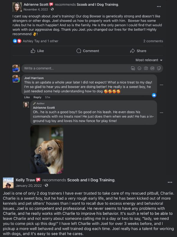 Client and dog