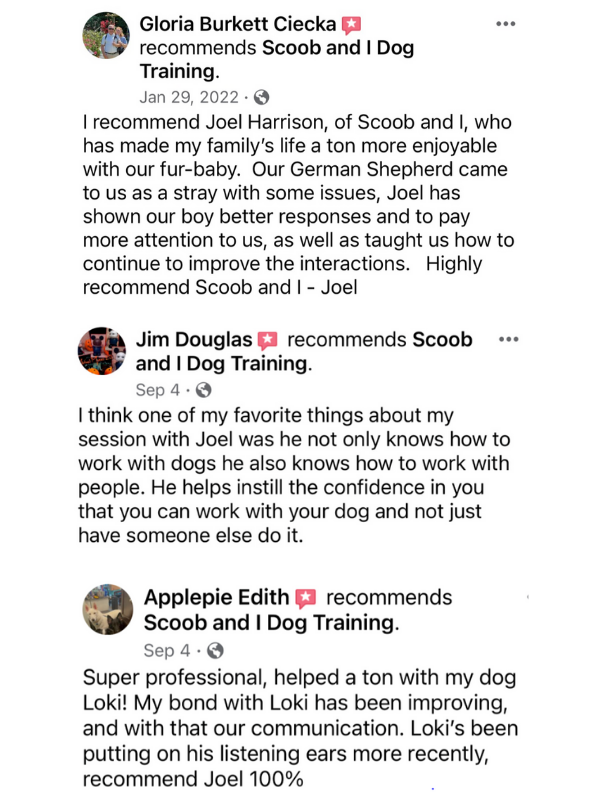 Client and dog