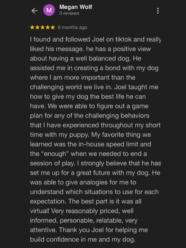 Client and dog