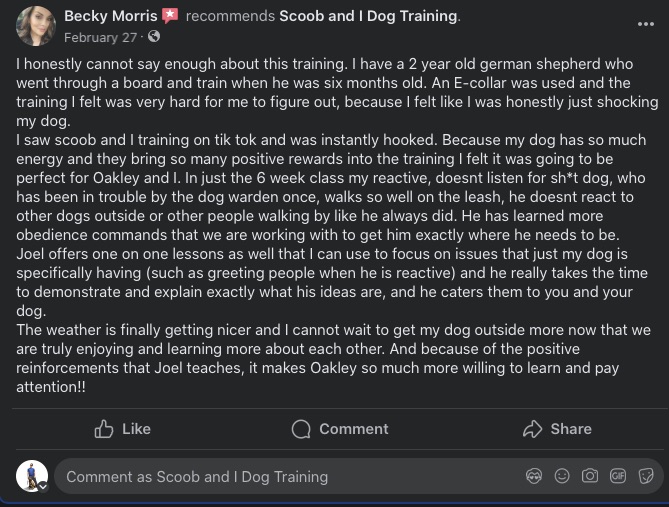 Facebook review mentioning reactive dog group class