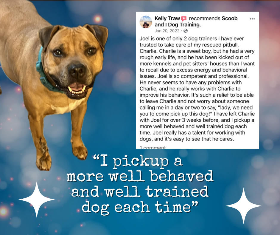 Client review screenshot