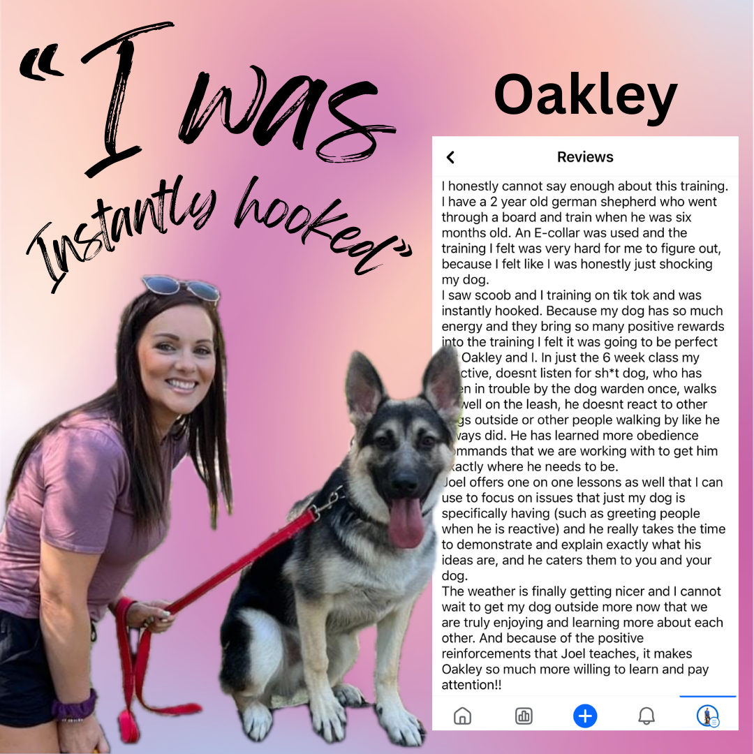 Review mentioning 8 week class