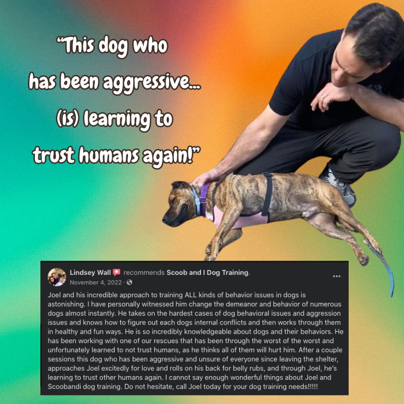 Client review screenshot