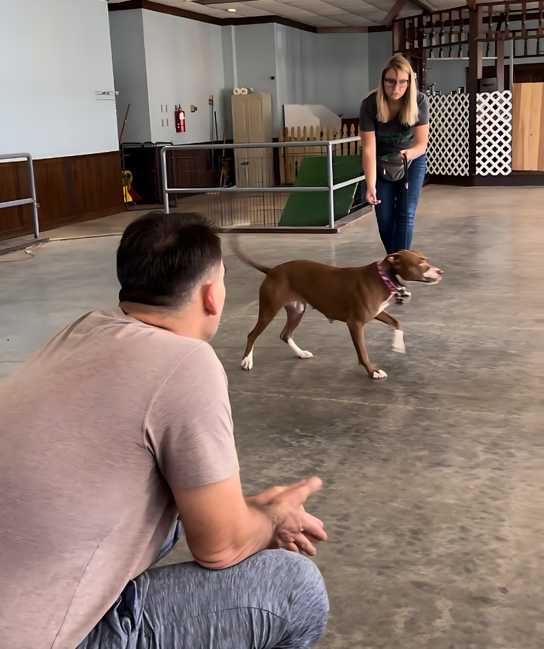 Dog and owner living a calmer life together