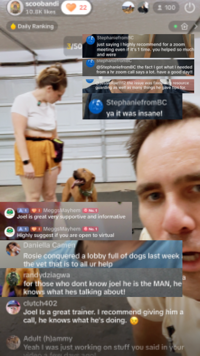 Joel training live on TikTok