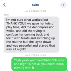 Faith G: dogs loving decompression walks, settled all night