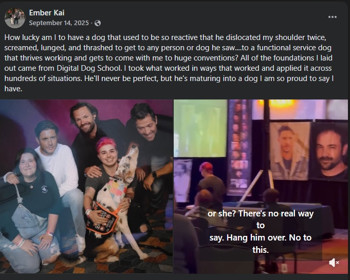 Ember Kai: reactive dog became a service dog at conventions — thanks to Digital Dog School