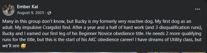 Ember Kai: Bucky earned first AKC obedience title leg after being reactive — credited to Digital Dog School