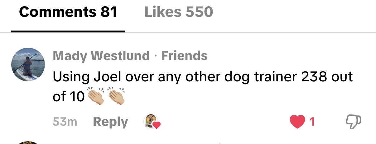 TikTok comment: Using Joel over any other dog trainer 238 out of 10, 550 likes
