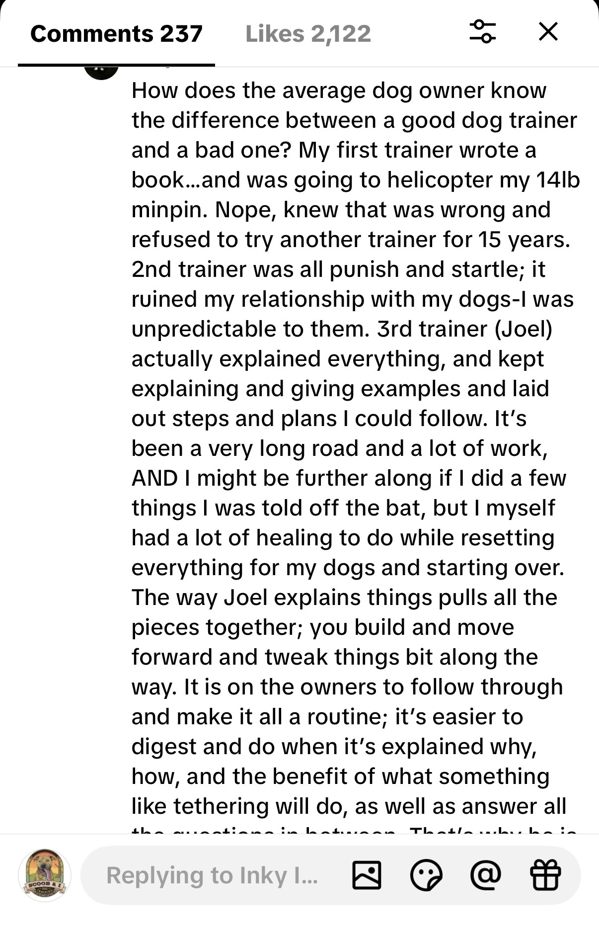 TikTok comment: Joel pulls all the pieces together