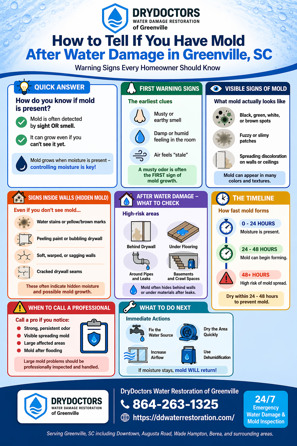 How to Tell If You Have Mold After Water Damage in Greenville, SC Infographic