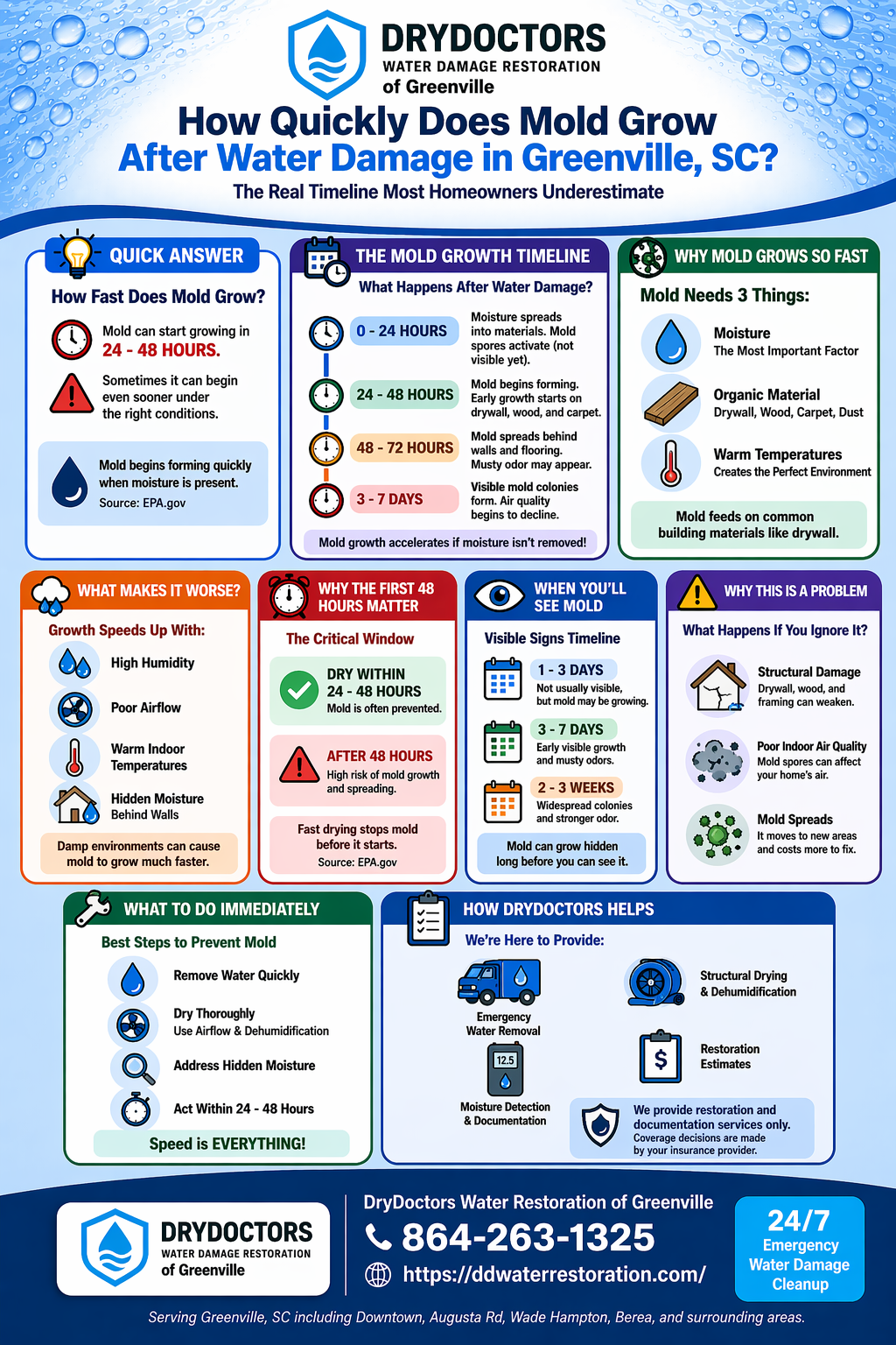 How Quickly Does Mold Grow After Water Damage in Greenville, SC infographic