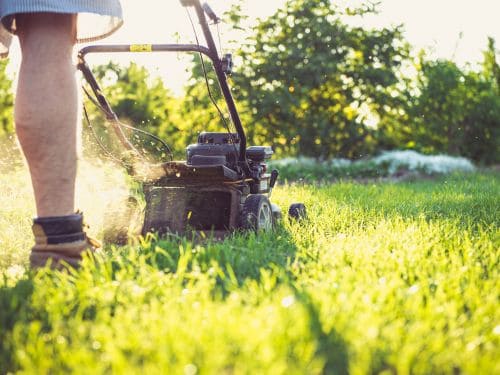 Lawn Care & Turf Management in Tulsa